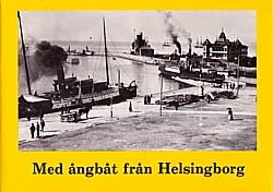 11442_9172660619MedangbatfranHelsingborg