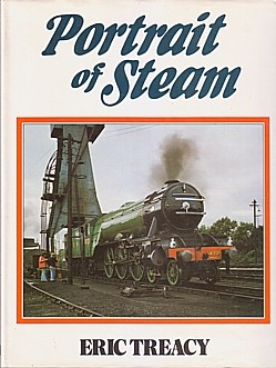 22808_0711011621_PortraitofSteam