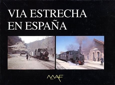  Via estrecha en España