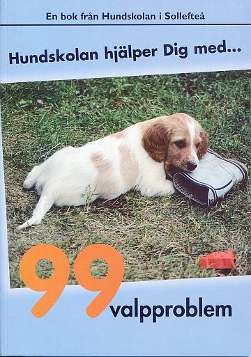 99 valpproblem