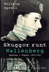 ** Skuggor runt Wallanberg 