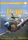  Curtiss P-40 Vol.1